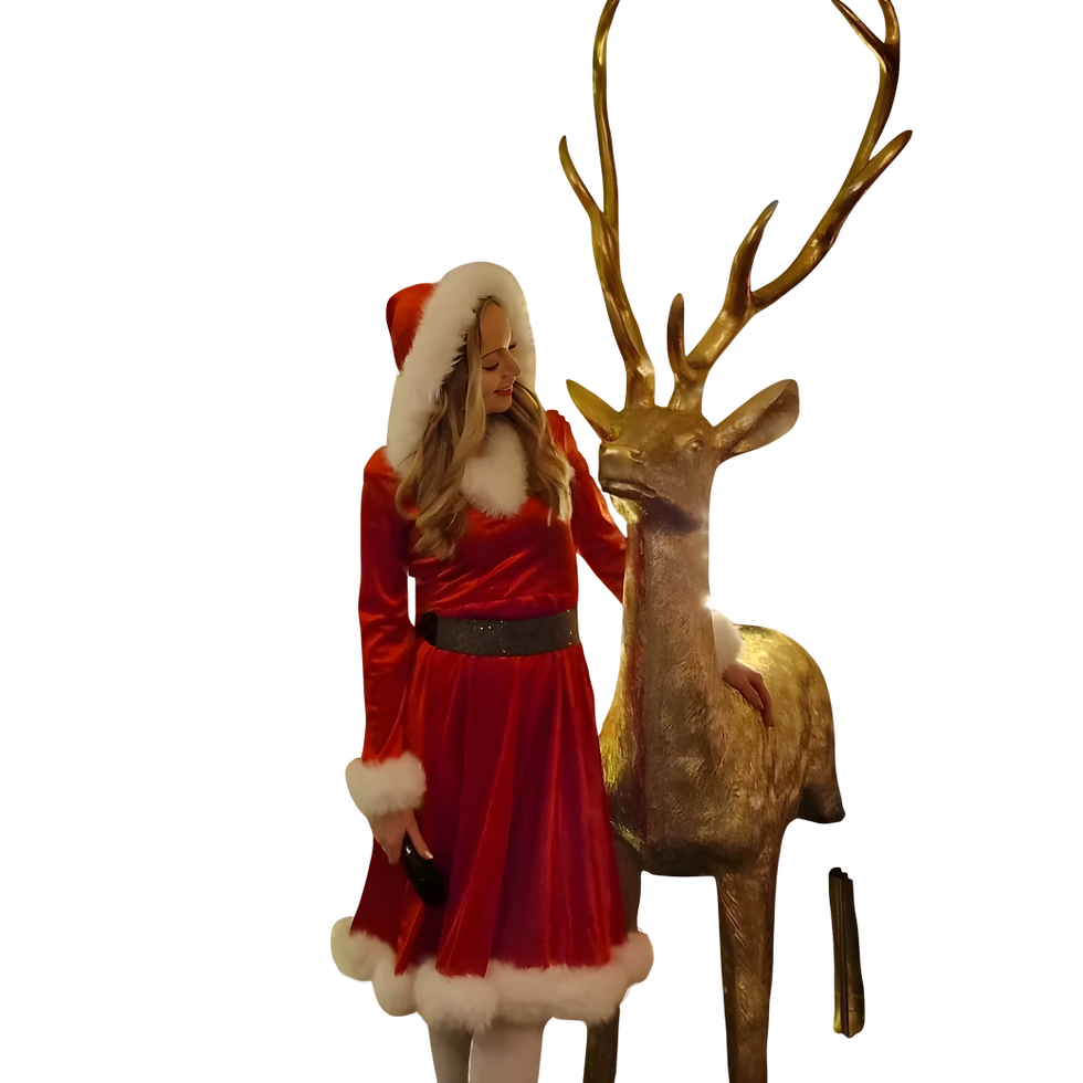 IMG_20231202_174028_011_remove-background_edited.png