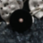 Thumbnail: BVLA Compass