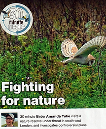 30-minute Birder image.bmp