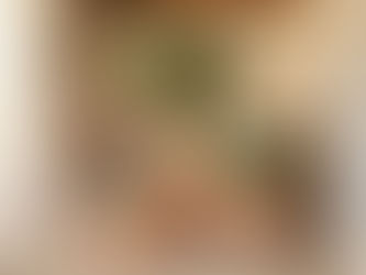 Vietnam Terracotta Pots Wholesale