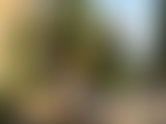 Ceramic pot wholesale UK