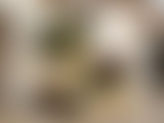 garden pot manufacturers, vietnamese pottery