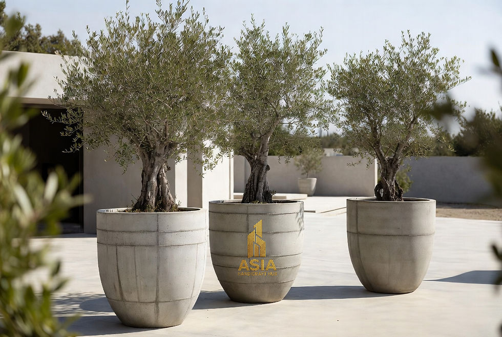 Customize Concrete Planters