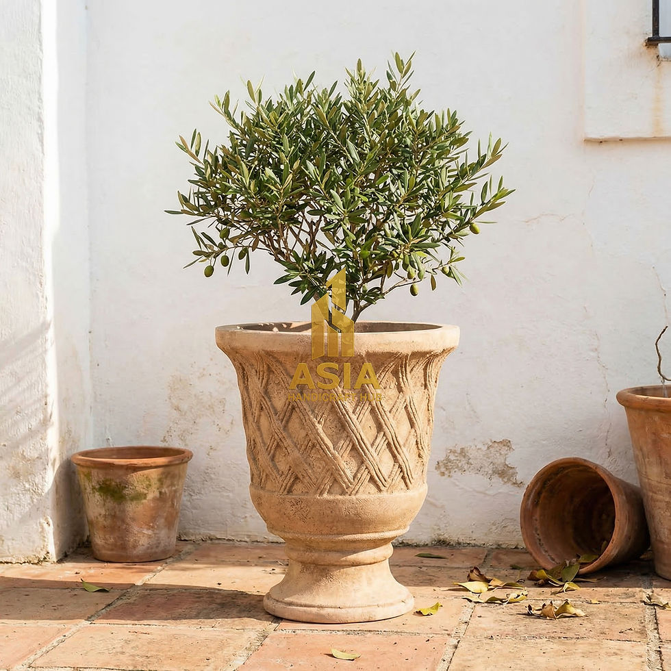 Vietnam pots, Wholesale terracotta pots