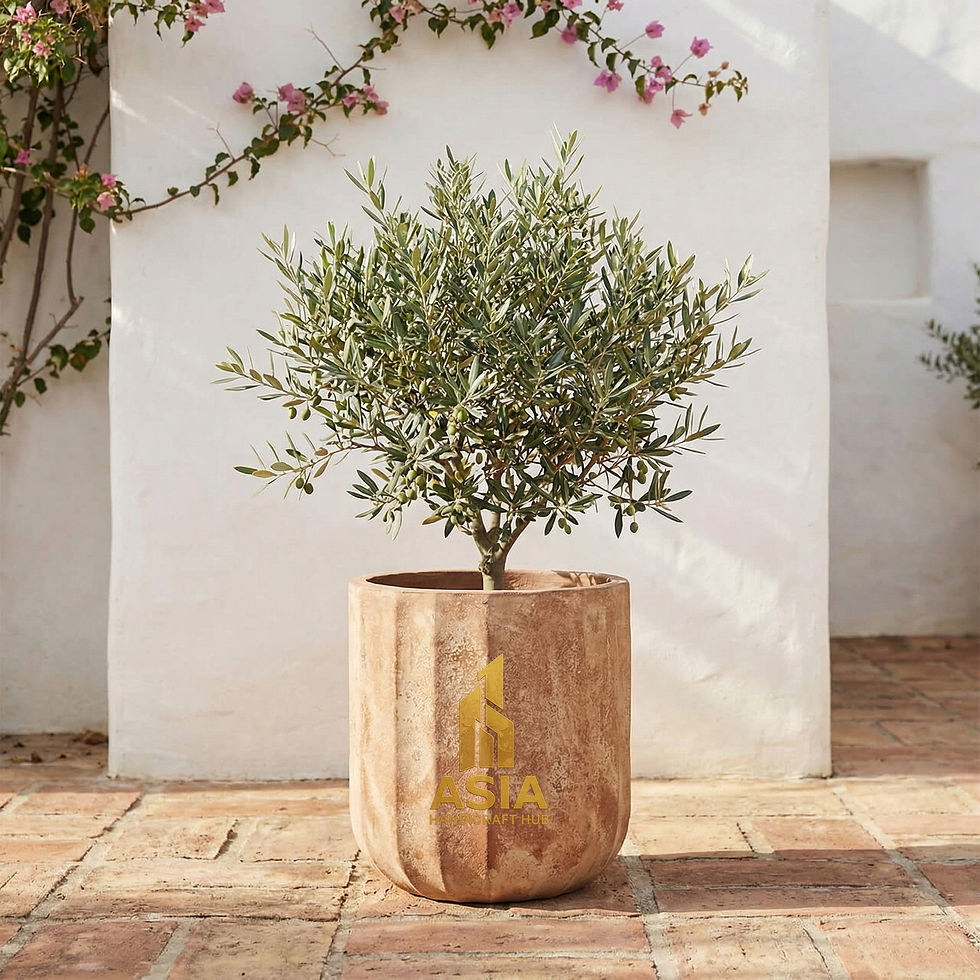 Vietnam pots, Large Terracotta pots