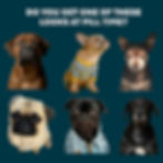 Thumbnail: Belgian Malinois Pill Butter