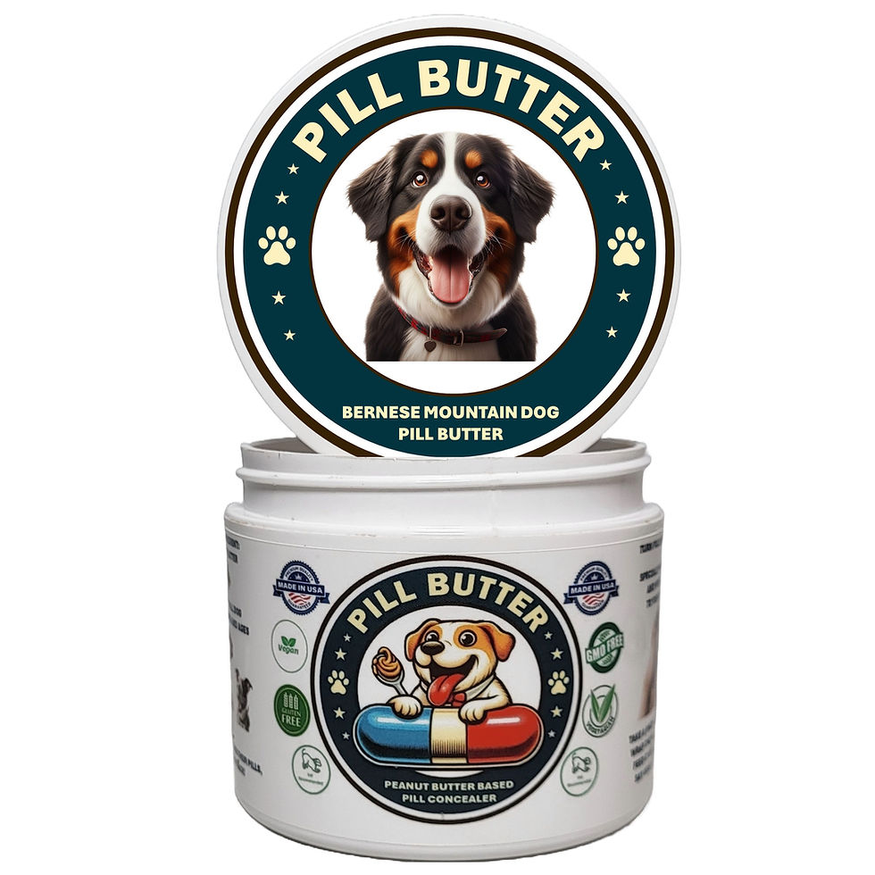Bernese Mountain Dog Pill Butter