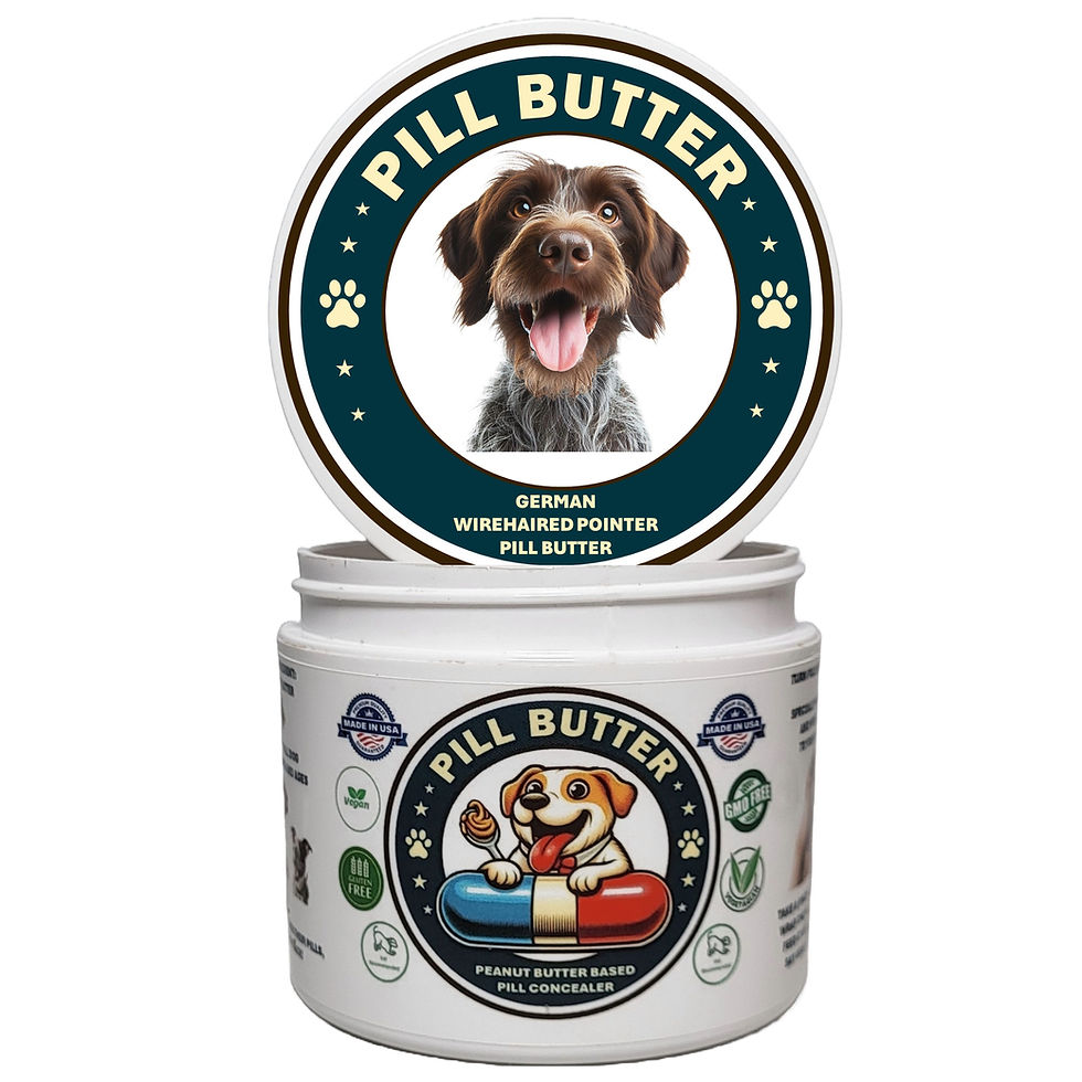 German Wirehaired Pointer Pill Butter