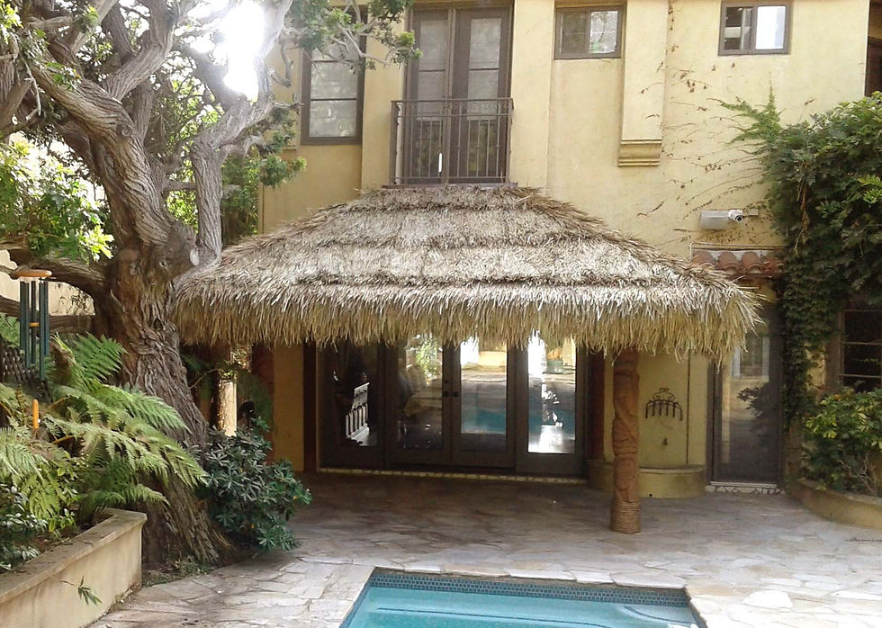 Thumbnail: CUSTOM BAJA THATCH AWNINGS