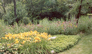 6b.jpg