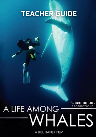 A Life Among Whales (Teacher Key).png