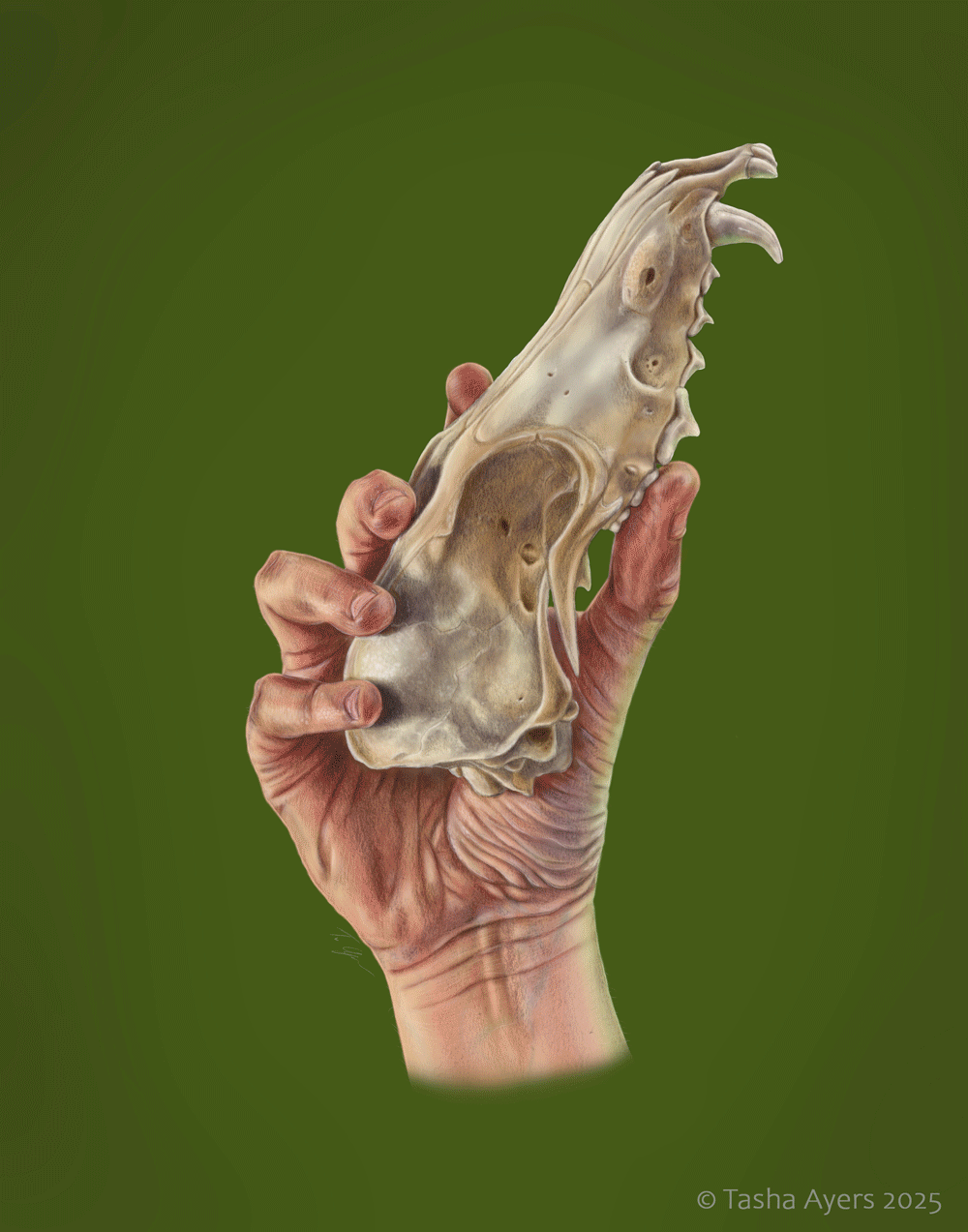 Muscles_Hand.gif