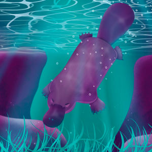 Pool Party