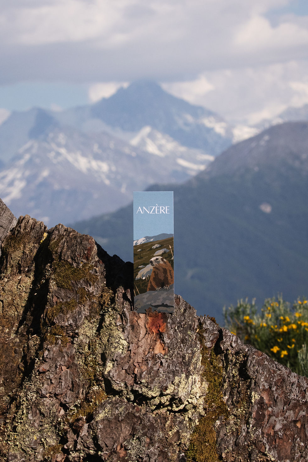 Miniature : La Marmotte