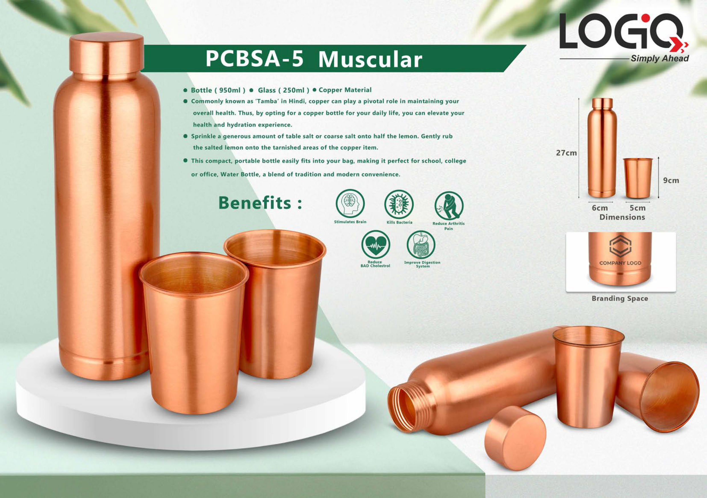 Muscular |  LOGO | Copper