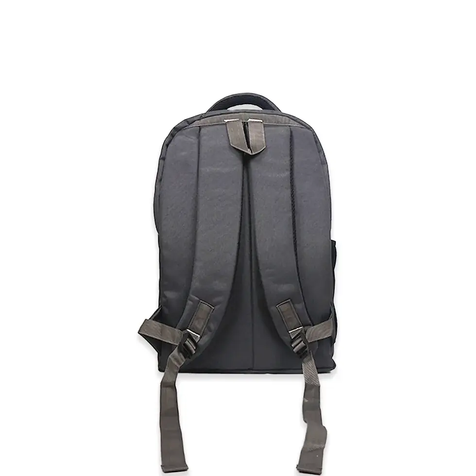 Thumbnail: Backpacks|GBSU|1006|For Laptop 17” |2 COMPT|22.56L|D520