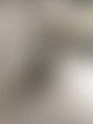 初めての授業ーつづき・・・。