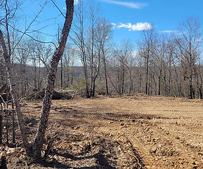 Lot clearing in Bella Vista Arkansas