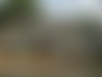 Catástrofe en Hill Country: más de 135 fallecidos y cientos desaparecidos por lluvias extremas