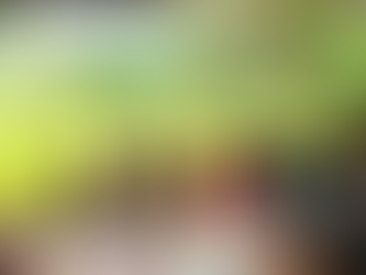 Educación pública amplía Programa de Alfabetización en Entornos Rurales