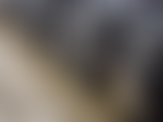 Reapertura de frontera ganadera: avance binacional para frenar la plaga del gusano barrenador