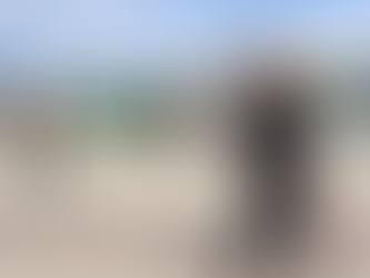 Choque diplomático con EE.UU.: Sheinbaum denuncia amenazas y exige respeto a soberanía