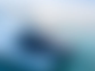 4 experiencia únicas en el Caribe Mexicano