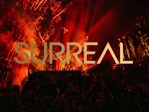 Festival Surreal 2025: Una Experiencia Mística en los Bosques de Valle de Bravo