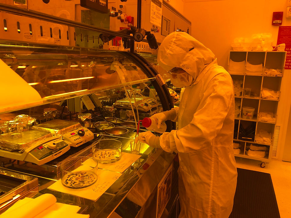 Rinsing substrate with acetone for ultrasonic cleaning, then IPA and water.