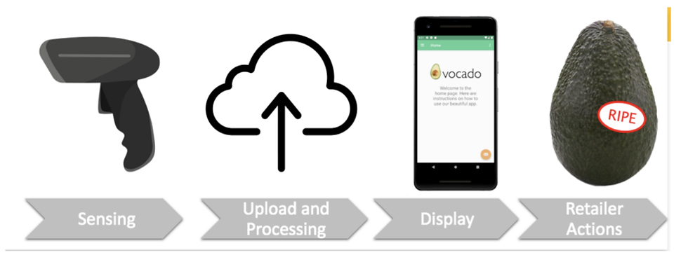 Process Diagram