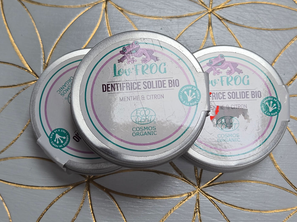 Dentifrice Solide Menthe & Citron Certifié BIO