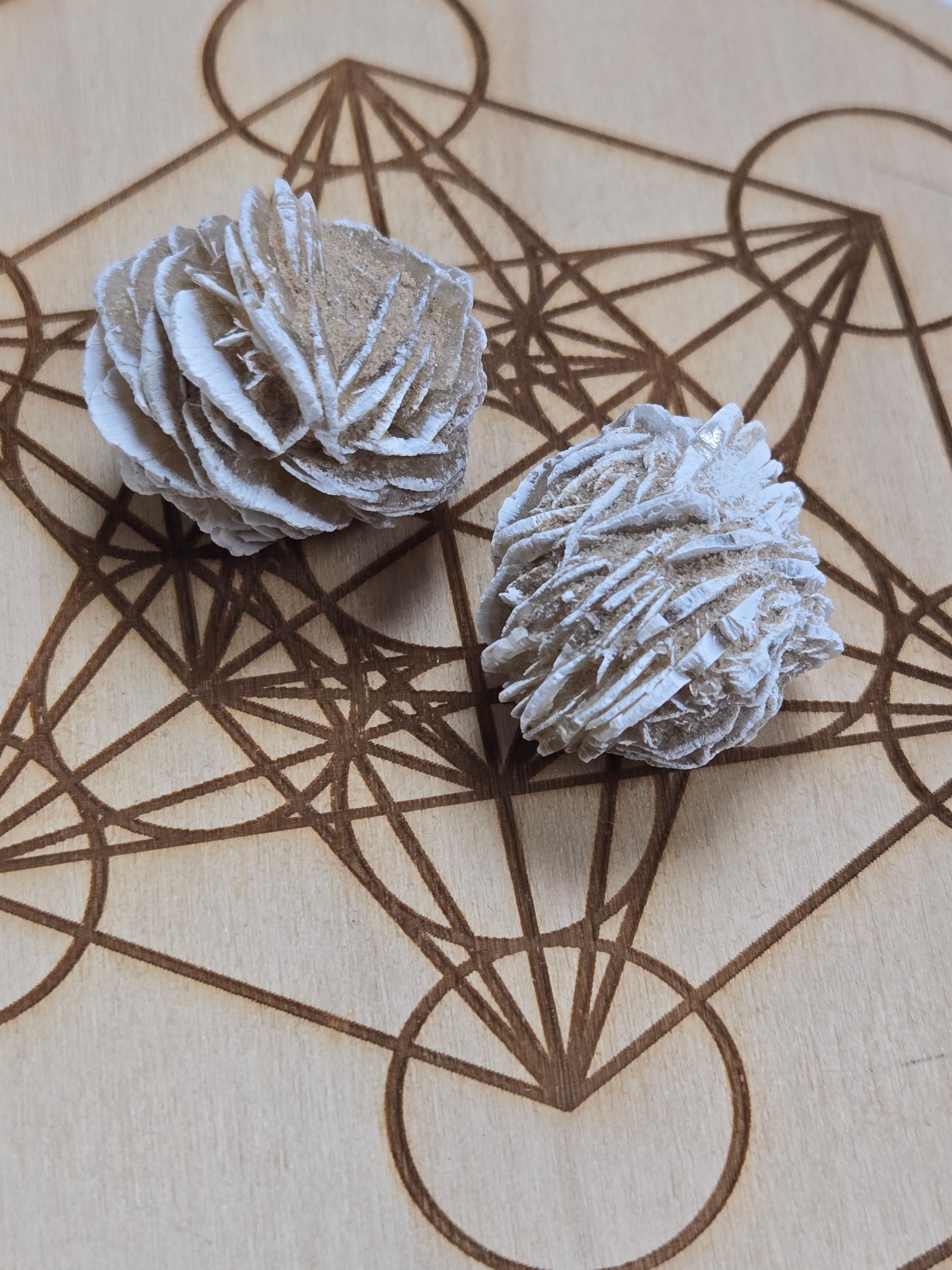 Rose des neiges pierre