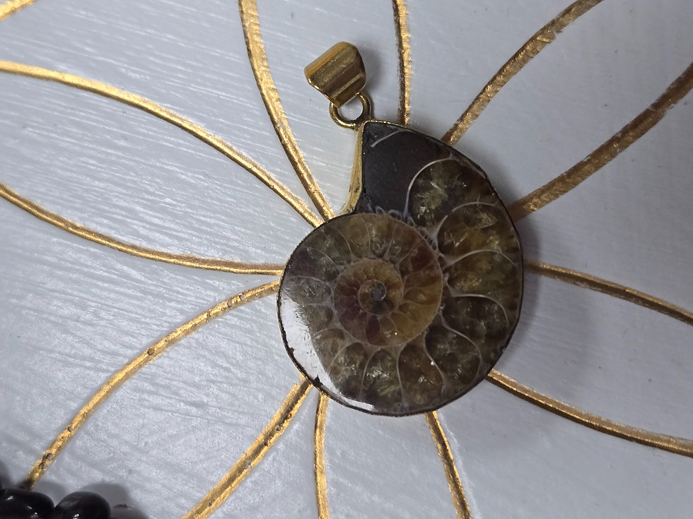 Ammonite pendentif