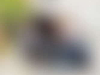 Na vรฝlet s Bezba dopravci? Komerฤnรญ jรญzdy