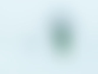 Fully Alive in Christ