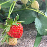 IMG_0713.jpeg