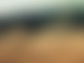 انشطار الكنيسة الأفقي في الأزمنة القريبة
