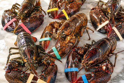 homards.png