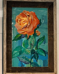 orange rose
