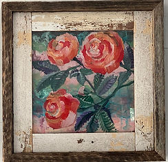 orange rose