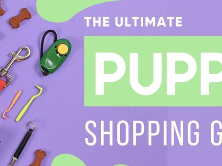 Graphic that says,"The Ultimate Puppy Shopping Guide"