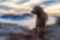 AdobeStock_311798314.jpeg