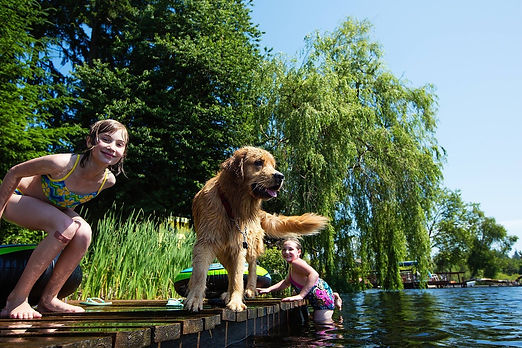 Golden Retriever with kids at a lake.jpg