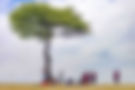 On the mara with class.jpg