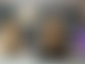 Casa com pets? Confira 03 dicas para manter a casa cheirosa e organizada.