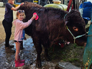 More than 500 exhibitors get ready for 139th Lincolnshire Show