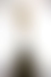 BMEidea Trophy Reveal!