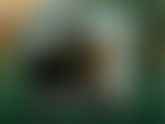 “Heartless” single release for Dystopian X Vision