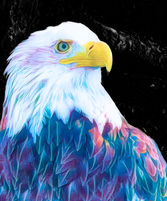 Eagle in pastel
