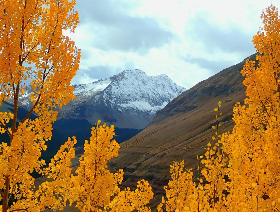 Snow dusted peaks framed by vibrant fall colors in Colorado